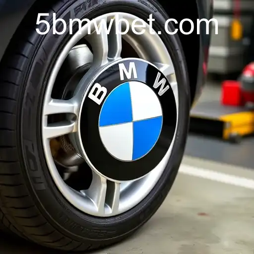 Essential Maintenance Tips for 5 BMW Lovers