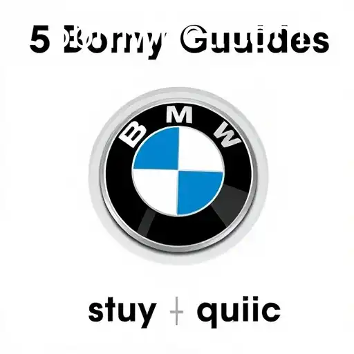 Unlocking the Secrets of the 'Buying Guides' Category in Gaming: Understanding '5bmw'