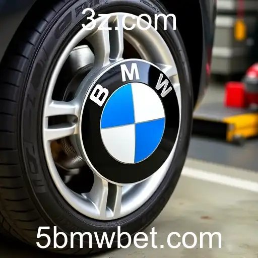 Essential Maintenance Tips for 5 BMW Lovers